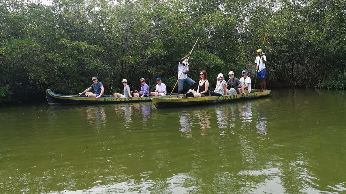 Experiencia de Manglares en La Boquilla